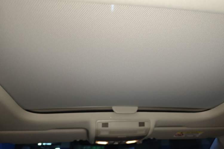 Used Volkswagen Golf Pure Electric 2020 Chari Headliner