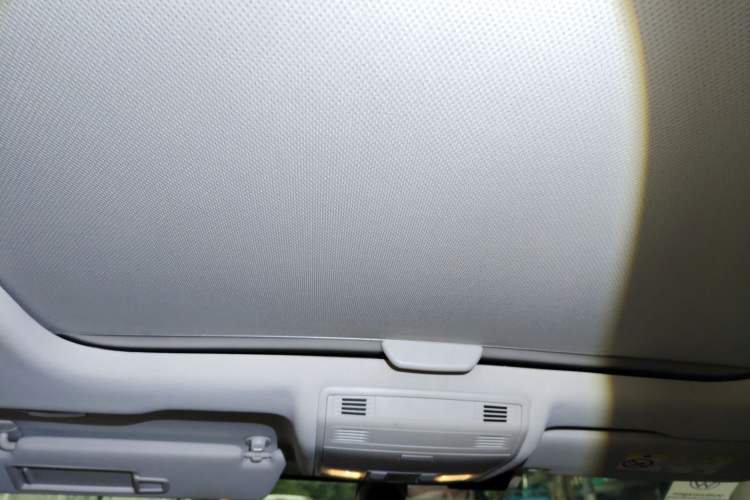 Used Volkswagen Golf Pure Electric 2020 Chari Headliner