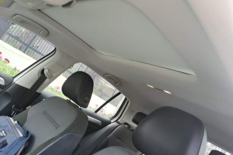 Used Volkswagen Golf Pure Electric 2020 Chari Headliner
