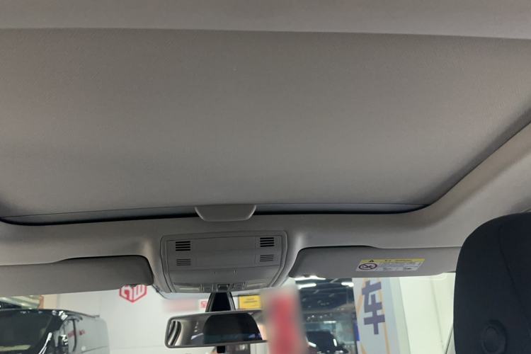 Used Volkswagen Golf Pure Electric 2020 Chari Headliner
