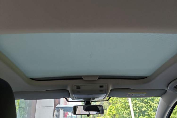 Used Volkswagen Golf Pure Electric 2020 Chari Headliner