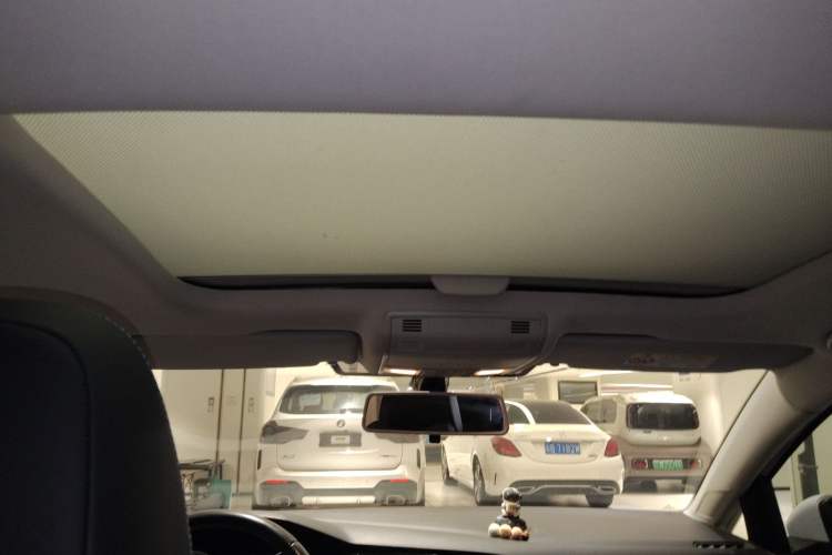 Used Volkswagen Golf Pure Electric 2020 Chari Headliner