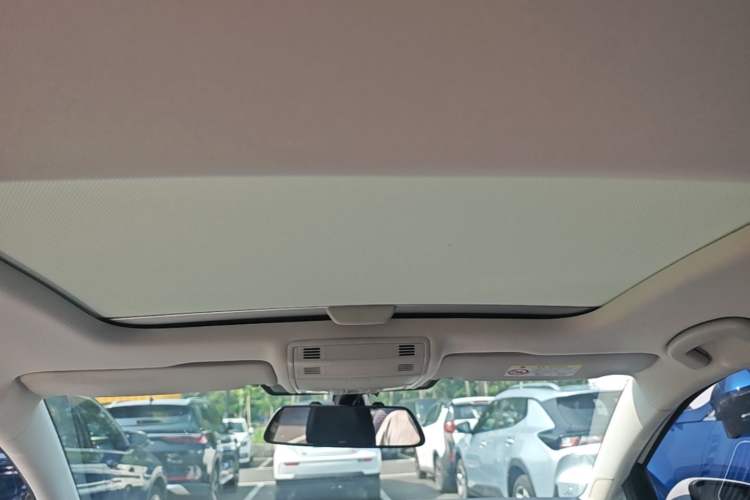 Used Volkswagen Golf Pure Electric 2020 Chari Headliner
