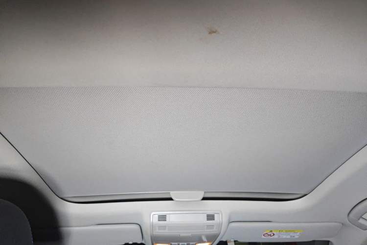 Used Volkswagen Golf Pure Electric 2020 Chari Headliner