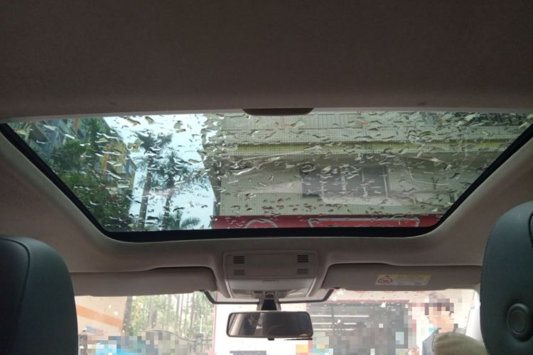 Used Volkswagen Golf Pure Electric 2020 Chari Headliner