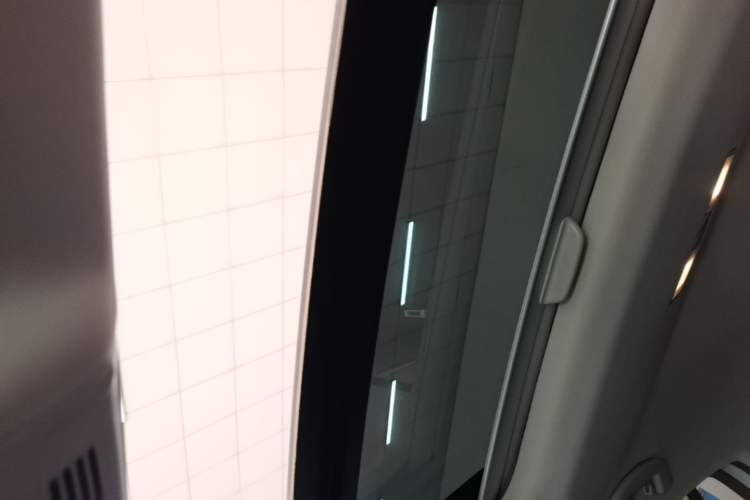 Used Volkswagen Golf Pure Electric 2020 Chari Headliner