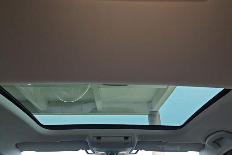 Used Volkswagen Golf Pure Electric 2020 Chari Headliner