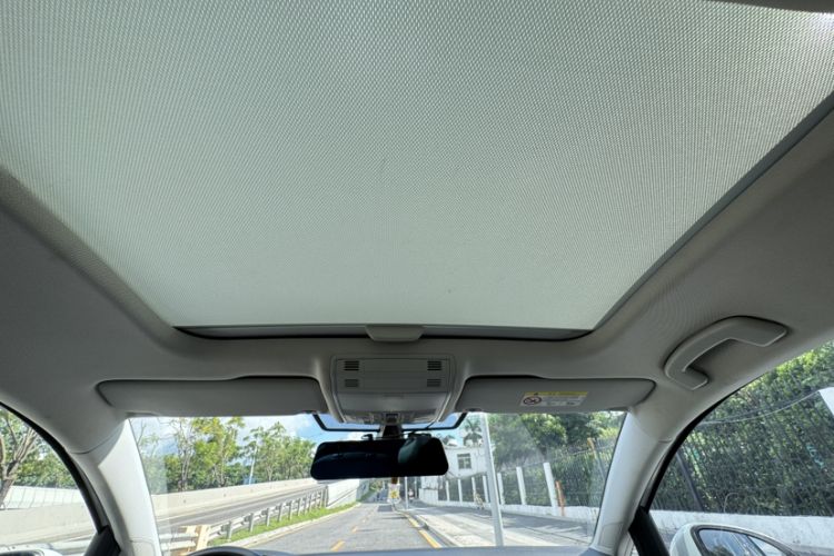Used Volkswagen Golf Pure Electric 2020 Chari Headliner