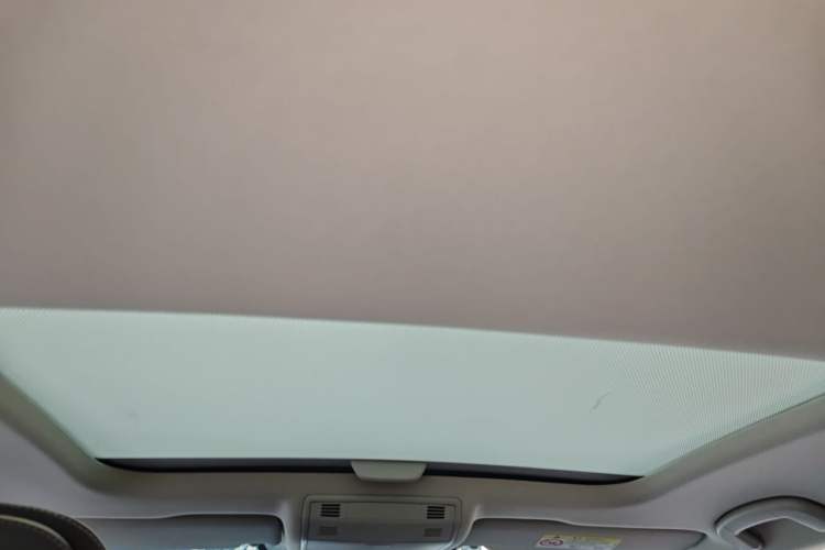 Used Volkswagen Golf Pure Electric 2020 Chari Headliner