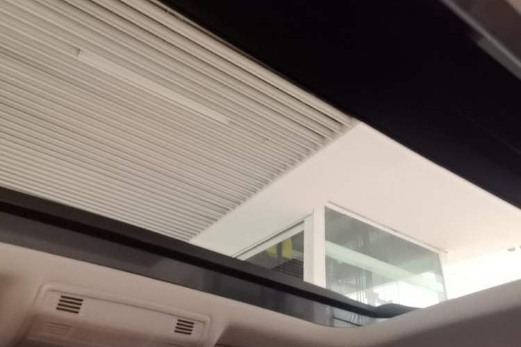 Used Volkswagen Golf Pure Electric 2020 Chari Headliner