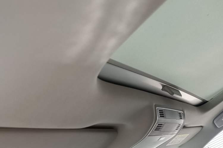 Used Volkswagen Golf Pure Electric 2020 Chari Headliner