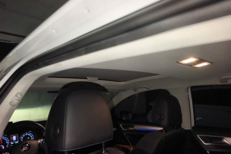 Used Volkswagen Golf Pure Electric 2020 Chari Headliner