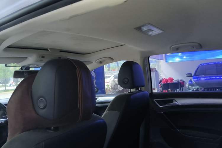 Used Volkswagen Golf Pure Electric 2020 Chari Headliner