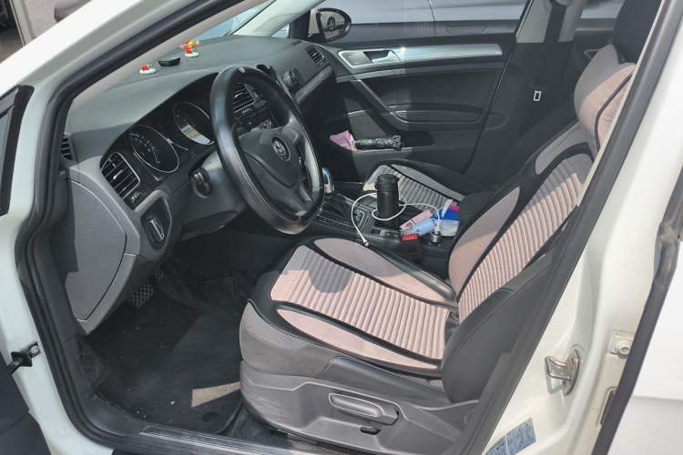 Used Volkswagen Golf Pure Electric 2020 Chari Left Front Seat