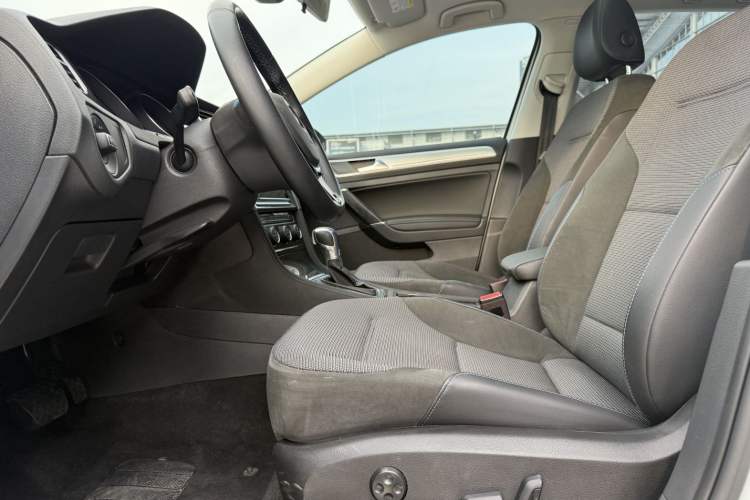 Used Volkswagen Golf Pure Electric 2020 Chari Left Front Seat