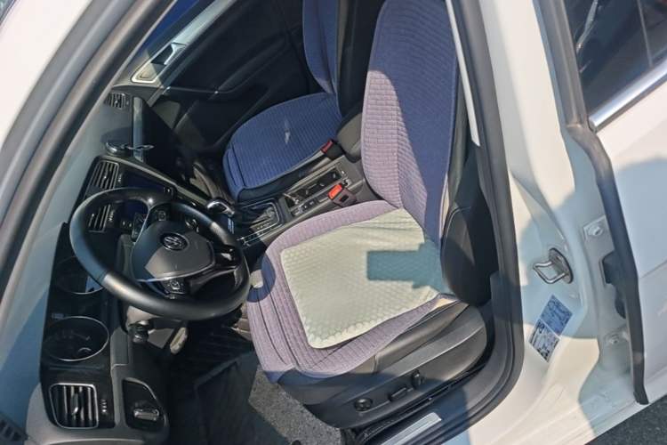 Used Volkswagen Golf Pure Electric 2020 Chari Left Front Seat