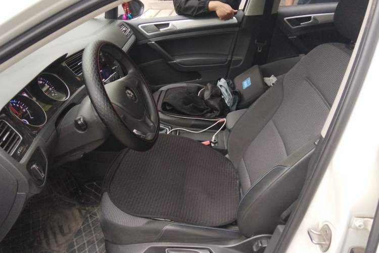 Used Volkswagen Golf Pure Electric 2020 Chari Left Front Seat