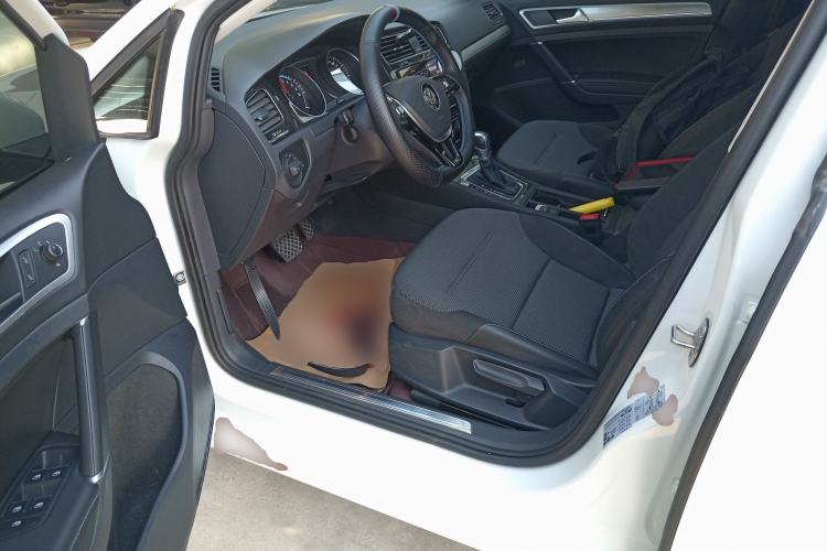 Used Volkswagen Golf Pure Electric 2020 Chari Left Front Seat