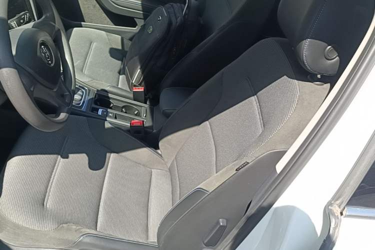 Used Volkswagen Golf Pure Electric 2020 Chari Left Front Seat