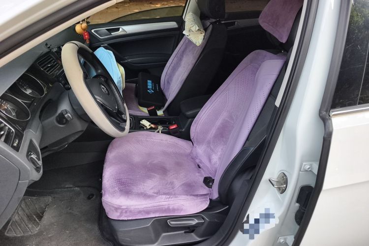 Used Volkswagen Golf Pure Electric 2020 Chari Left Front Seat