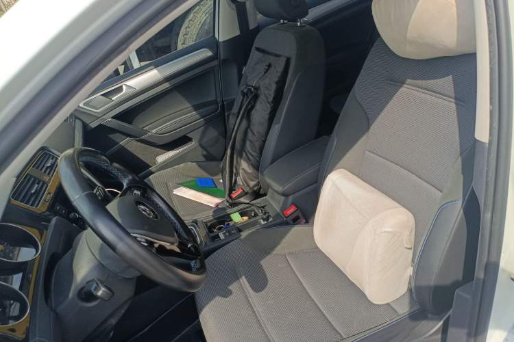 Used Volkswagen Golf Pure Electric 2020 Chari Left Front Seat