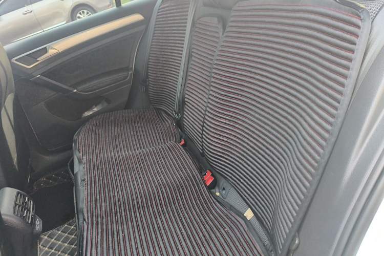 Used Volkswagen Golf Pure Electric 2020 Chari Left Rear Seat