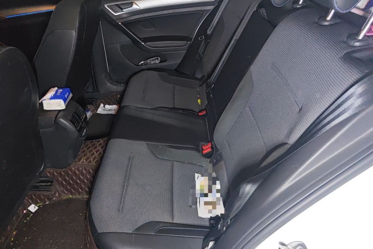 Used Volkswagen Golf Pure Electric 2020 Chari Left Rear Seat