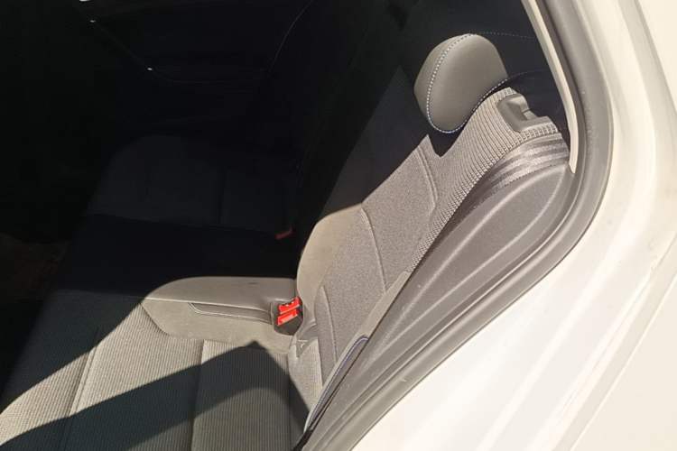 Used Volkswagen Golf Pure Electric 2020 Chari Left Rear Seat