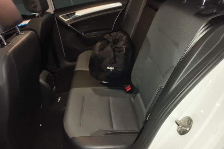 Used Volkswagen Golf Pure Electric 2020 Chari Left Rear Seat