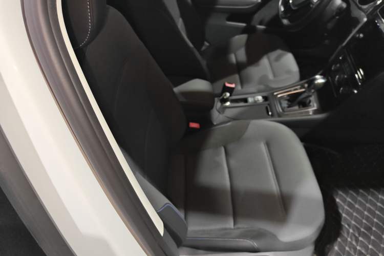 Used Volkswagen Golf Pure Electric 2020 Chari Right Front Seat