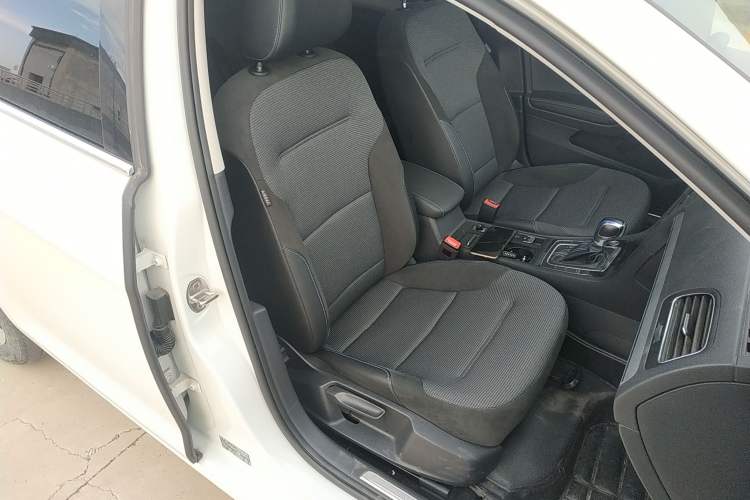 Used Volkswagen Golf Pure Electric 2020 Chari Right Front Seat
