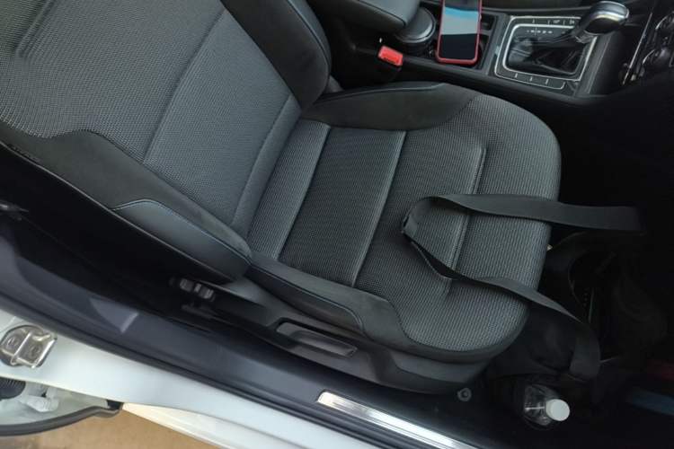 Used Volkswagen Golf Pure Electric 2020 Chari Right Front Seat