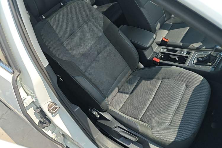 Used Volkswagen Golf Pure Electric 2020 Chari Right Front Seat