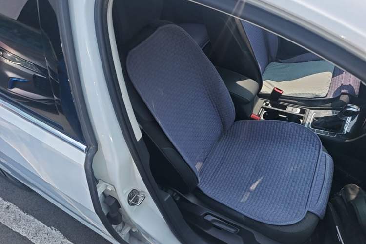 Used Volkswagen Golf Pure Electric 2020 Chari Right Front Seat