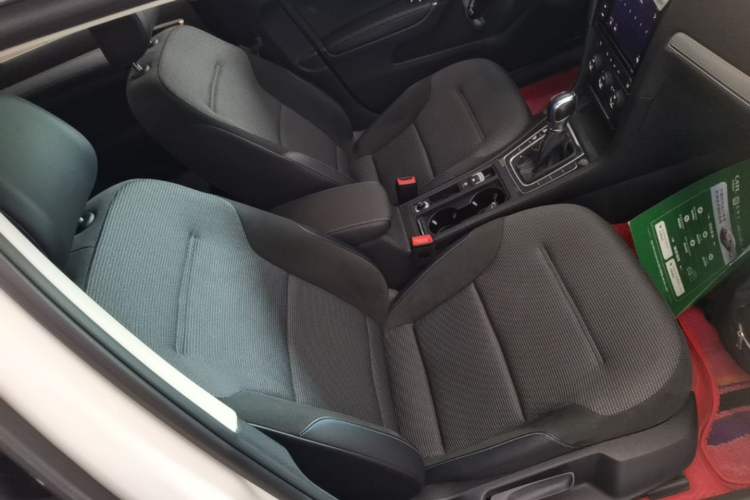 Used Volkswagen Golf Pure Electric 2020 Chari Right Front Seat