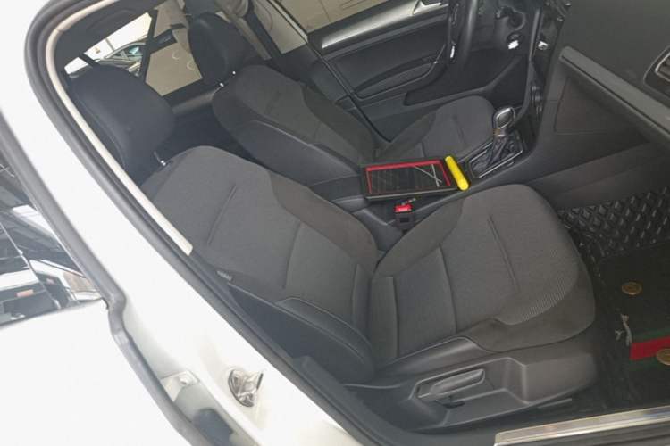 Used Volkswagen Golf Pure Electric 2020 Chari Right Front Seat