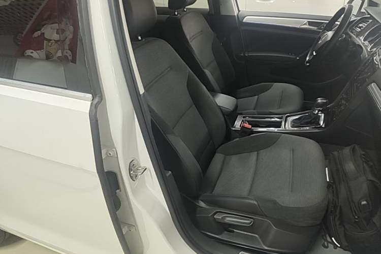 Used Volkswagen Golf Pure Electric 2020 Chari Right Front Seat