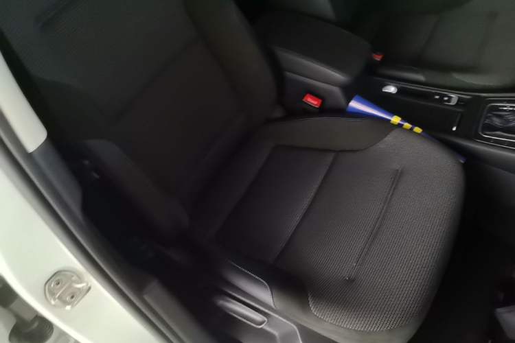 Used Volkswagen Golf Pure Electric 2020 Chari Right Front Seat