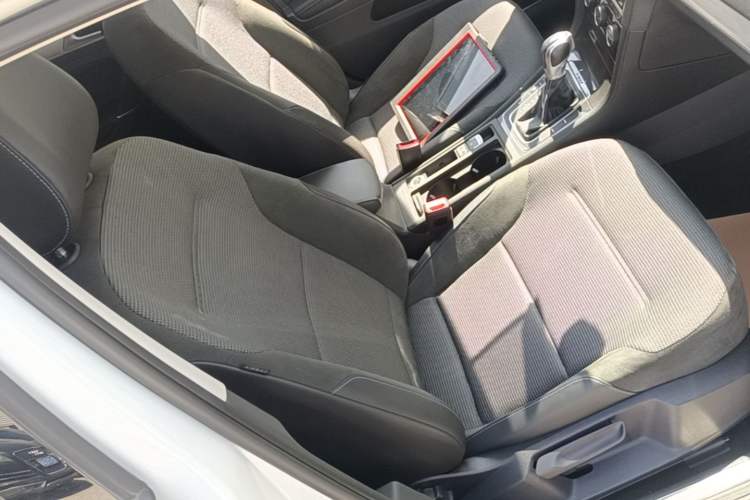 Used Volkswagen Golf Pure Electric 2020 Chari Right Front Seat