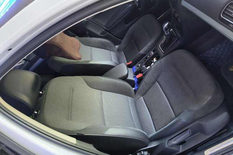 Used Volkswagen Golf Pure Electric 2020 Chari Right Front Seat