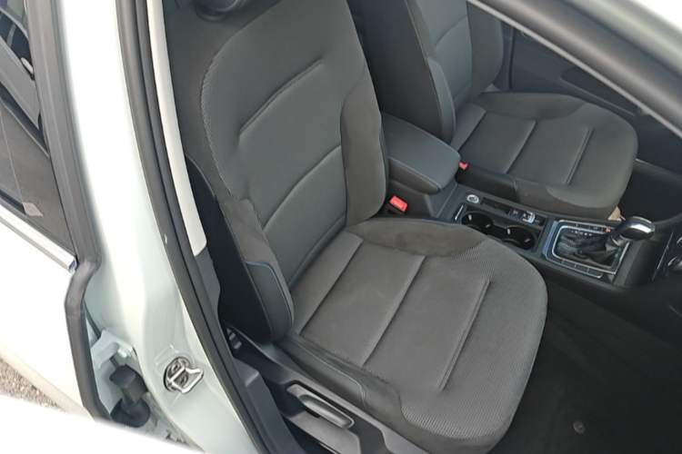 Used Volkswagen Golf Pure Electric 2020 Chari Right Front Seat