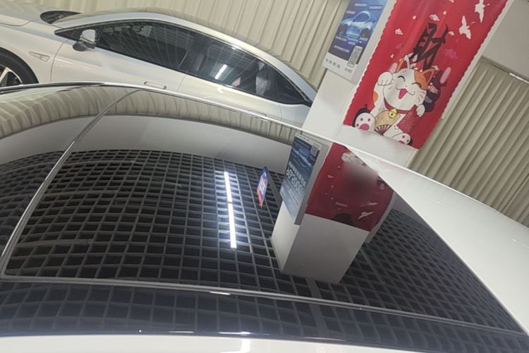 Used Volkswagen Golf Pure Electric 2020 Chari Roof