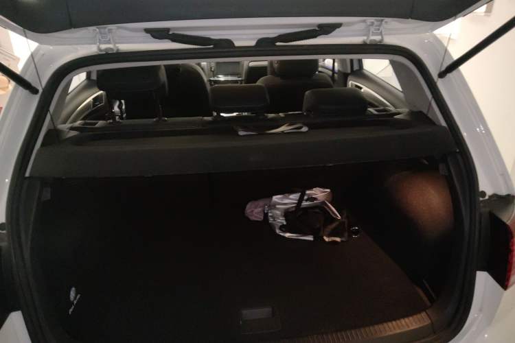 Used Volkswagen Golf Pure Electric 2020 Chari Trunk