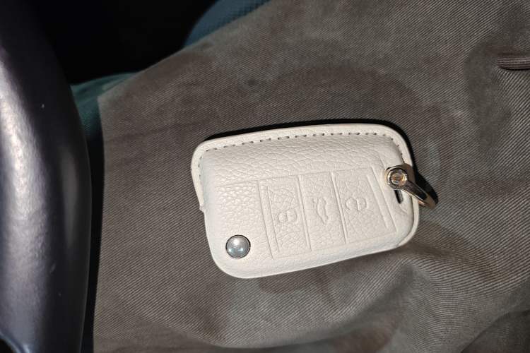 Used Volkswagen Golf Pure Electric 2020 Chari Vehicle Key