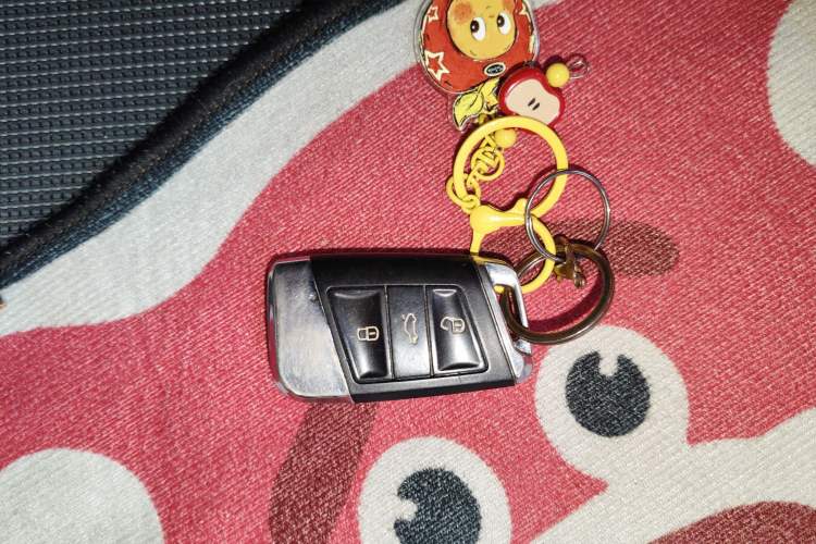 Used Volkswagen Golf Pure Electric 2020 Chari Vehicle Key