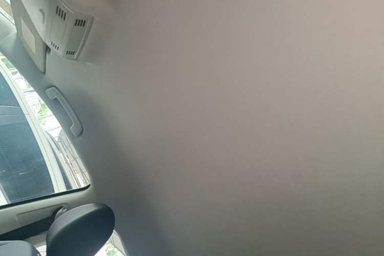 Used Volkswagen Golf Sportsvan 2018 1.6L Automatic Comfort Model Headliner