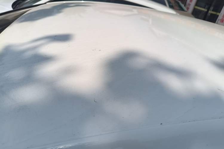 Used Volkswagen Golf Sportsvan 2019 1.6L Automatic Pure Model China V Standard Roof