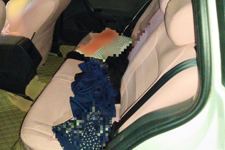 Used Volkswagen Gran Lavida 2013 1.6L Automatic Fashion Model Left Rear Seat
