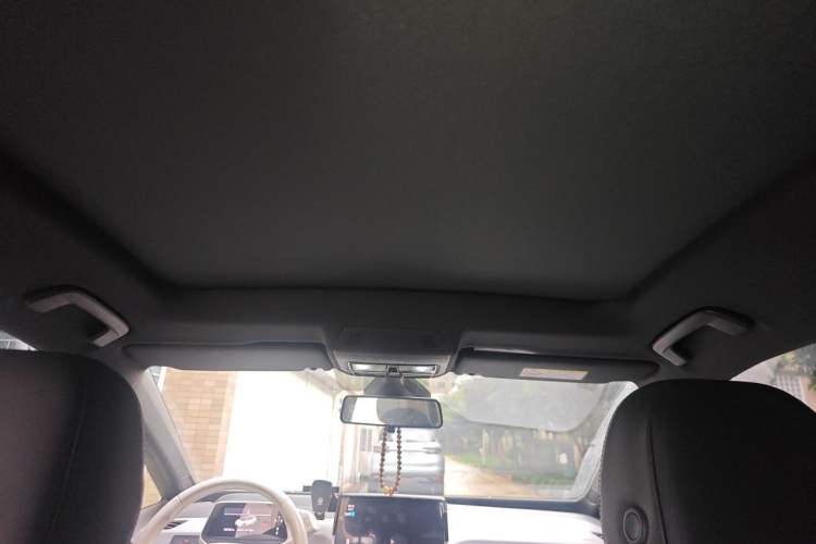 Used Volkswagen ID.3 2021 Pure Edition Headliner