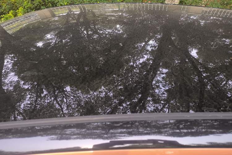 Used Volkswagen ID.3 2021 1st Edition ID. First Impression Edition Roof